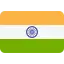 印度 Visa flag