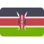 Visa Kenya flag