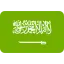 Visado Arabia Saudita flag