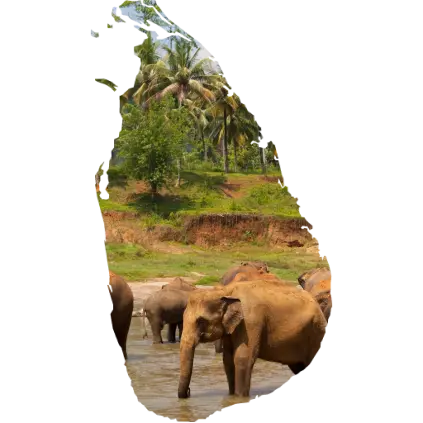 Visaanforderungen für Sri Lanka